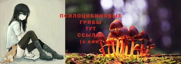 герыч Мегион