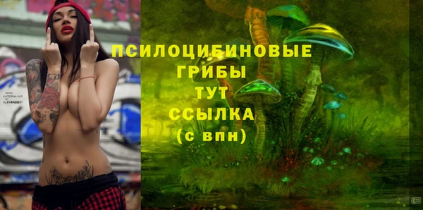 mdma Медногорск