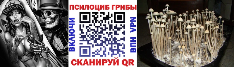 Галлюциногенные грибы Cubensis  Королёв 